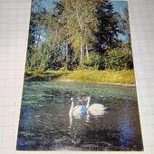 Календарик СРСР 1979