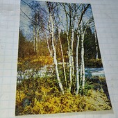 Календарик СРСР 1982