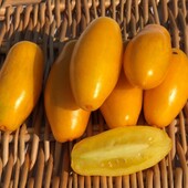 Томат Бананові ноги, 15 насінин