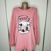 Світшот двонитка Looney tunes р 20 -22 Пог -69