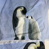 Два підодіяльники і наволочка