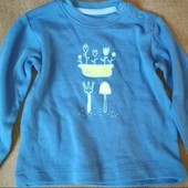 Реглан для хлопчика Lupilu 62-68 на 2-6 місяців Німеччина