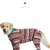 Для великої собаки