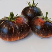 Томат Темна галактика, 20 насінин