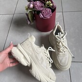 Актуальні кросівки 24 см устілка