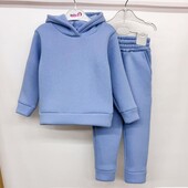 Костюм Теплий 3-х нитка фліс піньє На ріст 110-116 см Не кошлатиться