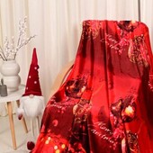 Плед тепленький мікрофібра 200/230см.євро.