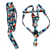 Лот 2набора!!!!!Набор для животных " поводок и шлея"( цвет случайный)