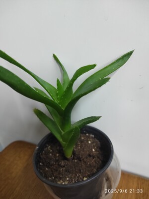 Фото №1 class=