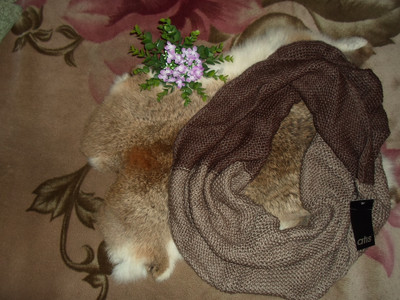 Фото №1 class=