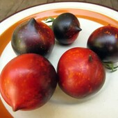 Томат Небеса Орегону, 20 насінин