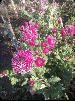 Фото №1 class=