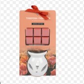 Арома набор аромалампа с эфирным маслом и ароматизированным воском