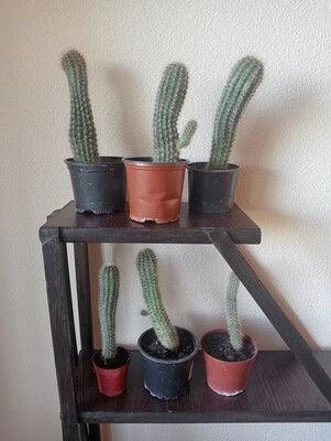 Фото №1 class=