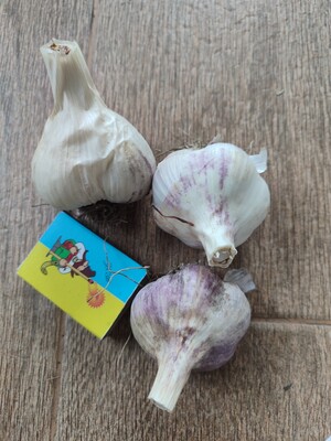 Фото №1 class=