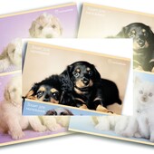 Альбом для малювання 24 л. Rachael Hale Kite