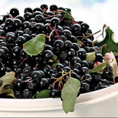 Сухі ягоди чорноплідної аронії .лот-0,500грм