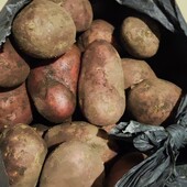 Картопля домашня лот 10 кг