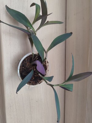 Фото №1 class=