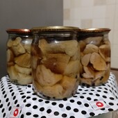 Баночка грибів на вибір, гриби білі мариновані, консервовані