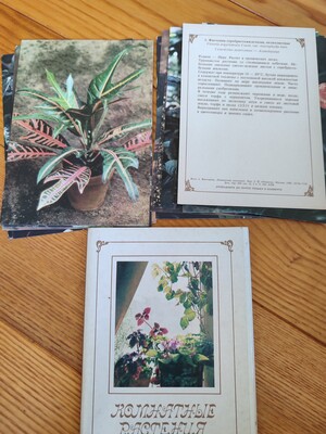 Фото №1 class=