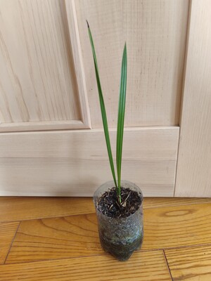 Фото №1 class=