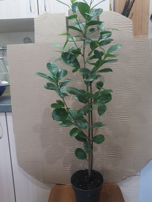 Фото №1 class=