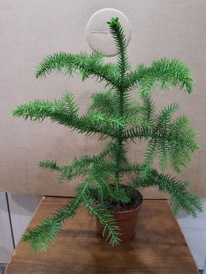 Фото №1 class=