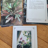 Набір листівок 3