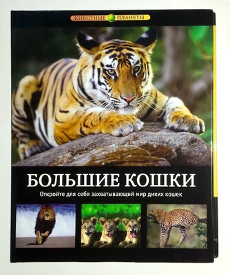 Фото №1 class=