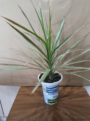 Фото №1 class=