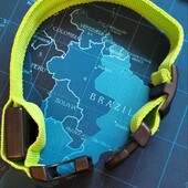 Світящийся ошийник для маленьких та середніх тварин