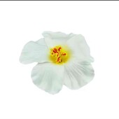 заколка для волосся