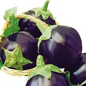 Moravo Seed ( Чехія).Баклажан Лаура