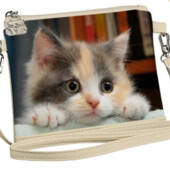 Сумка для дівчинки Little fairy Милий котик 12*16см