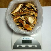 Сушені білі гриби. Карпатські 2025 року. 100 грн.