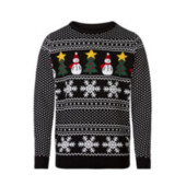 Чоловічий різдвяний светр Livergy® зі світлодіодними гірляндами (S (44/46)