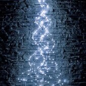 Кінський хвіст 2м. 10 ліній холодний