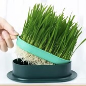 Набір багаторазовий Лоточки для пророщування трави для тваринок Насіння в подарунок