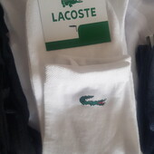 Носки лакост, спортивні, лот 3 пари, вигідна ціна, Туреччина