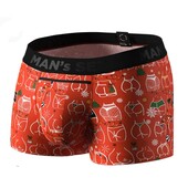 Новорічні анатомічні чоловічі боксери Менс сет