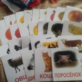 Катри домана 27 шт