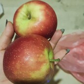 Яблуко домашня соковите лот 3 кг