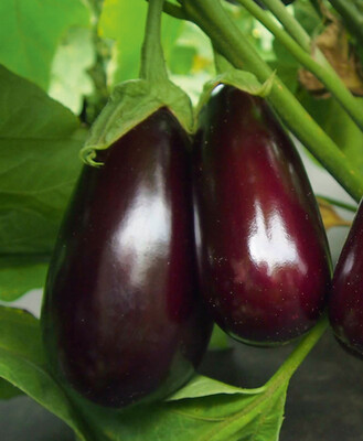 Фото №1 class=