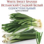 Іспанська солодка цибуля на зелень. 300 насінин. Підходить для осіннього посіву.