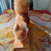 ❤️Антиквариатна натуральный мех белочка статуэтка❤️ Германия.