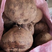 Червоний буряк 10 кг разом