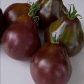 Томат Трюфель чорний, 10 насінин