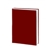 Зошит Romus А4 200 арк. у твердій обкладинці — Максі-формат для ідей