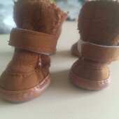 Уггі для маленької собачки або котика )